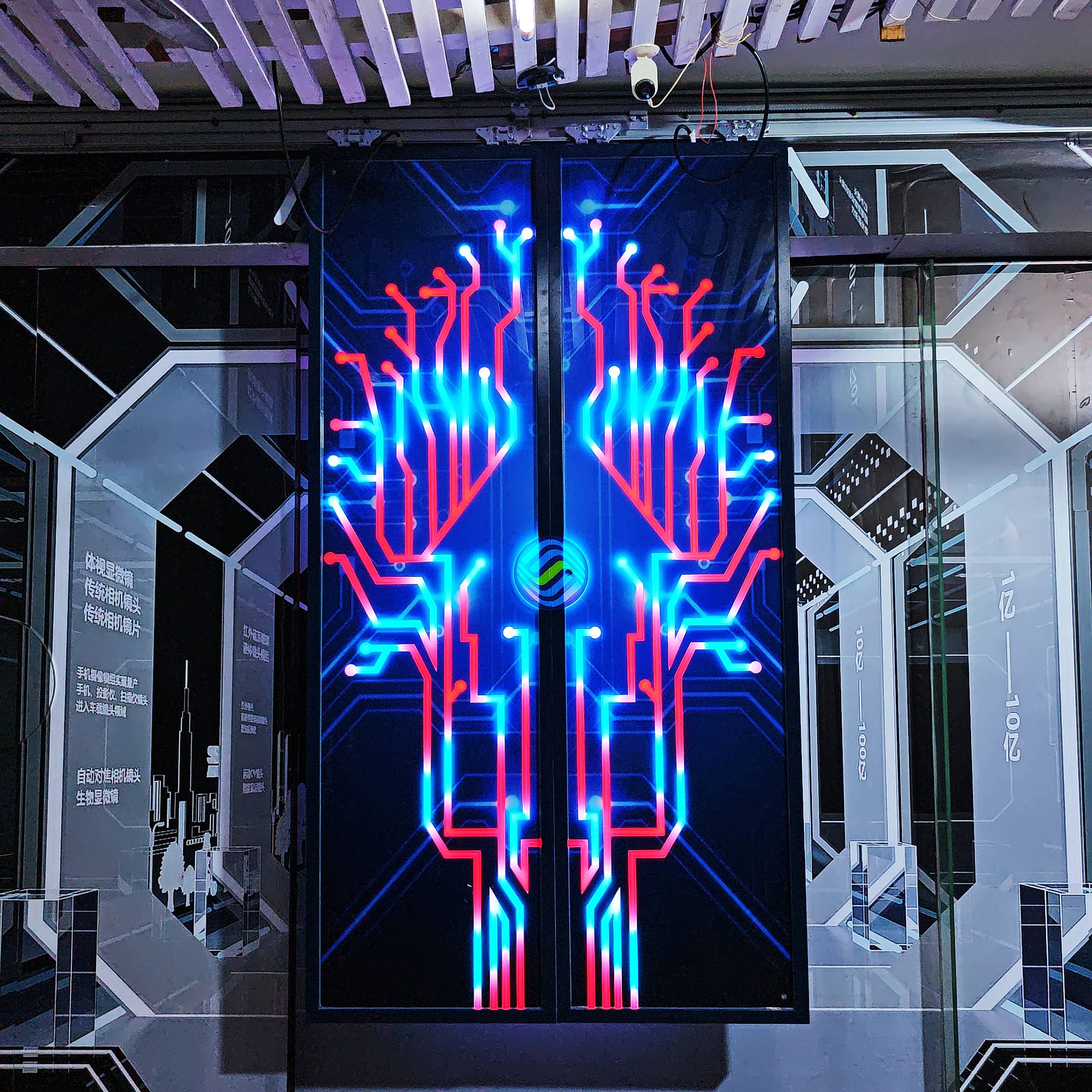 会所网红魔法门 智能掌纹门 智能大门